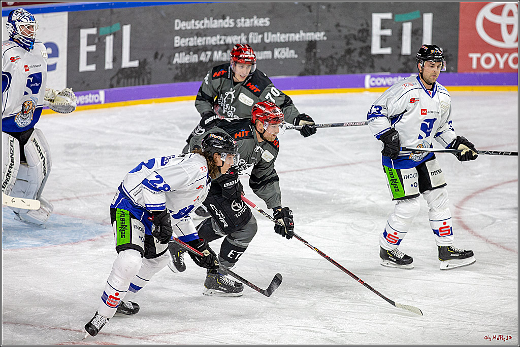 DEL; Koelner Haie - Straubing Tigers, 28.09.2018